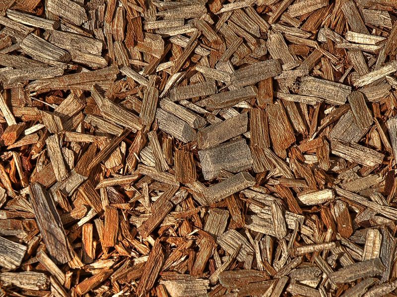 Close view of a fresh wood-chip mulch layer covering forest soil